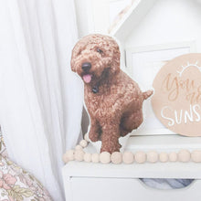 Load image into Gallery viewer, MEMORY PORTRAIT PILLOW "Preston" Pet Photo Memories in Threads Pillow