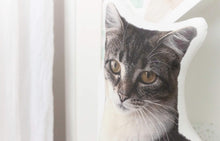 Load image into Gallery viewer, MEMORY PORTRAIT PILLOW "Preston" Pet Photo Memories in Threads Pillow