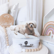 Load image into Gallery viewer, CUSTOM LISTING  - Kelly &quot;Preston&quot; Photo Character Pillow Cloth Keepsake CUSTOM ORDER ONLY, CUSTOM MAKE TIMES APPLY.