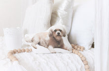 Load image into Gallery viewer, CUSTOM LISTING  - Kelly &quot;Preston&quot; Photo Character Pillow Cloth Keepsake CUSTOM ORDER ONLY, CUSTOM MAKE TIMES APPLY.