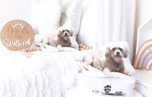 Load image into Gallery viewer, CUSTOM LISTING  - Kelly &quot;Preston&quot; Photo Character Pillow Cloth Keepsake CUSTOM ORDER ONLY, CUSTOM MAKE TIMES APPLY.