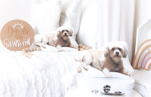 CUSTOM LISTING  - Kelly "Preston" Photo Character Pillow Cloth Keepsake CUSTOM ORDER ONLY, CUSTOM MAKE TIMES APPLY.